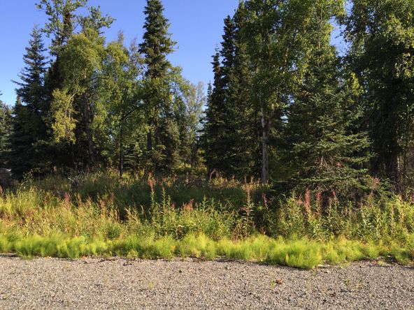 63767 Oil Well Rd, Ninilchik, AK 99639